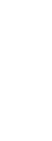 seo_text